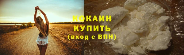 первитин Снежногорск
