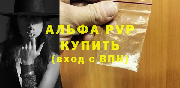 ГАЛЛЮЦИНОГЕННЫЕ ГРИБЫ Белокуриха