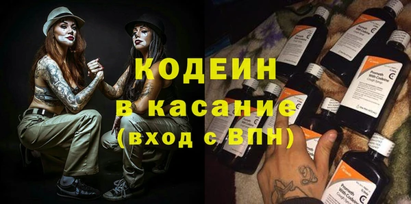 прущие грибы Дубна